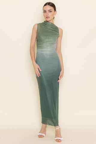 Earthy Ombred Long Dress